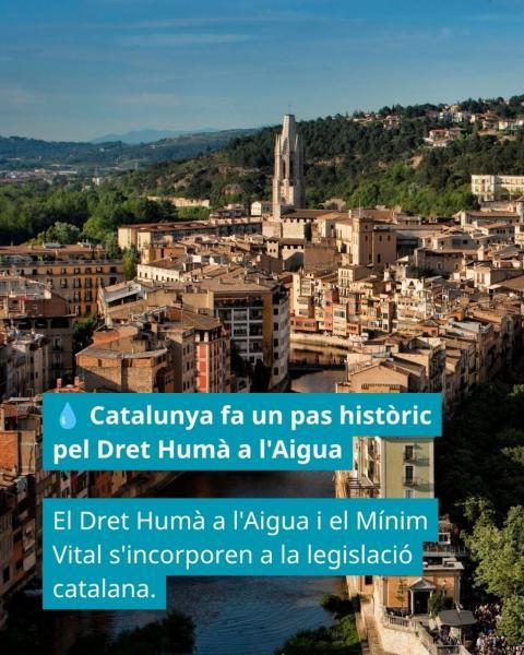 DHA
