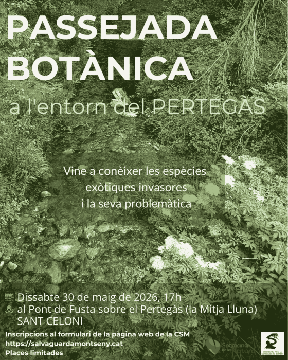 Cartell de l'activitat