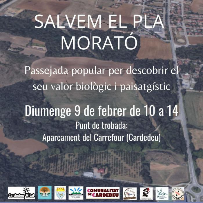 Salvem el Pla Morató