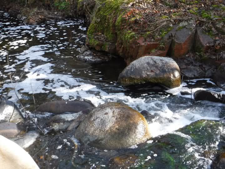 La riera Major de Viladrau contaminada