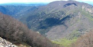 La vall alta de la Tordera