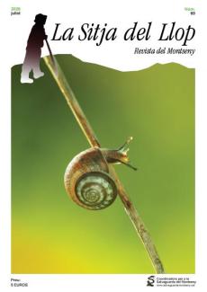 SLL portada #60