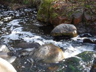 La riera Major de Viladrau contaminada