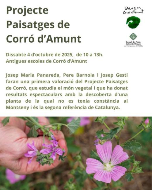 Retaule de tardor de 2025