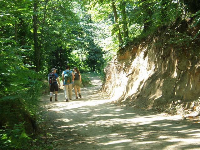 Camí Illes-Sant Marçal