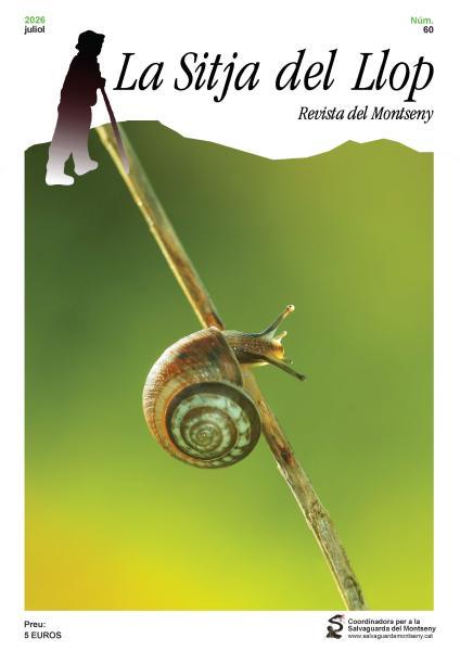 SLL portada #60